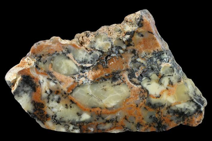 Polished Wanong Dendritic Opal Slab - Australia #132915